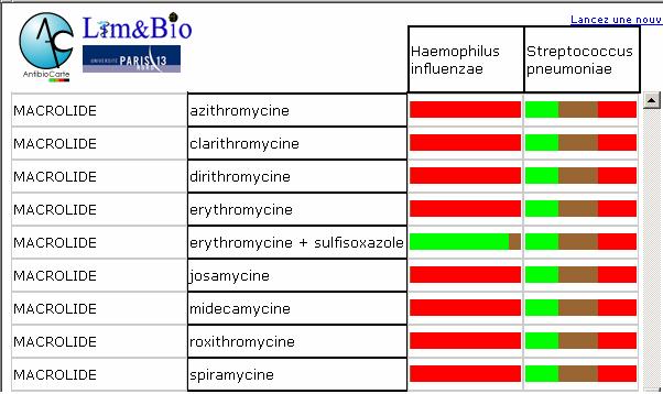 spectre macrolide otite