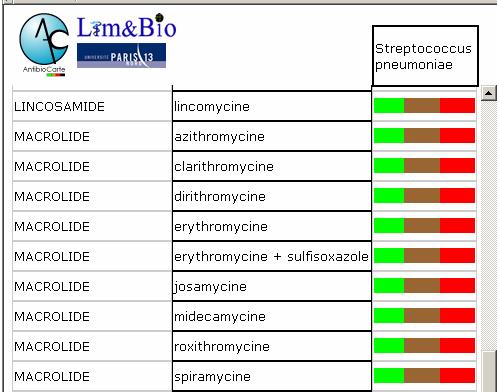 Spectre macrolide pneumocoque